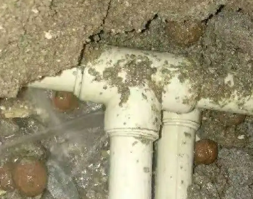 尼勒克测漏水多少钱