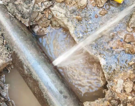 尼勒克测漏水公司