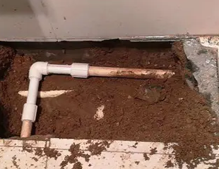 尼勒克测漏水哪家好