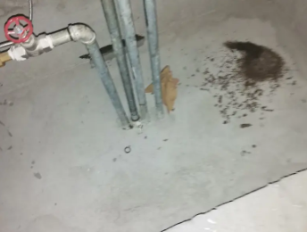 尼勒克卫生间测漏水价格明细