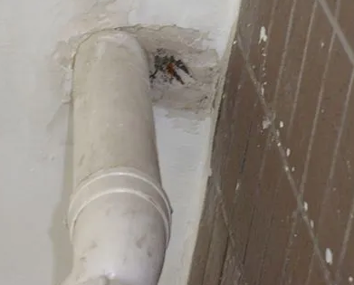 尼勒克漏水检测哪家好